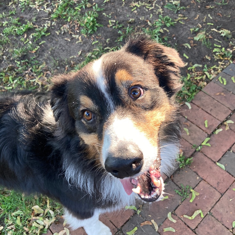 Meet your Posher, Margo